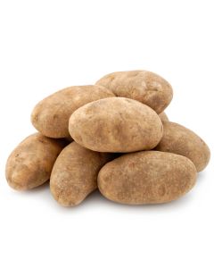 Potato Russet Large