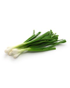 Spring Onion Malaysia