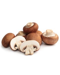 Mushroom White Button 